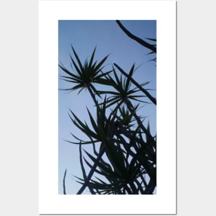 7Sparrows Blue Sky Desert Stillness Posters and Art